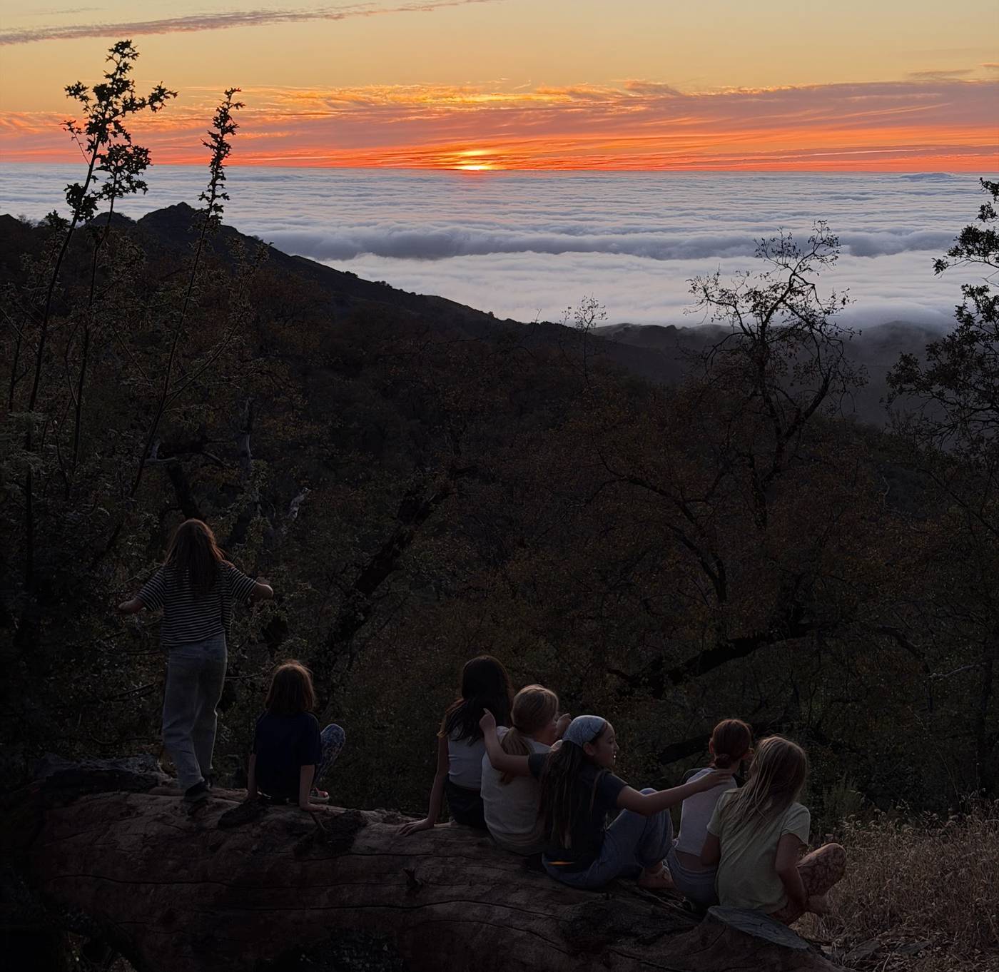 Seven girls, seen from behind, sit and stand on a fallen log watching the sun set over a sea of fog from Fremont Peak